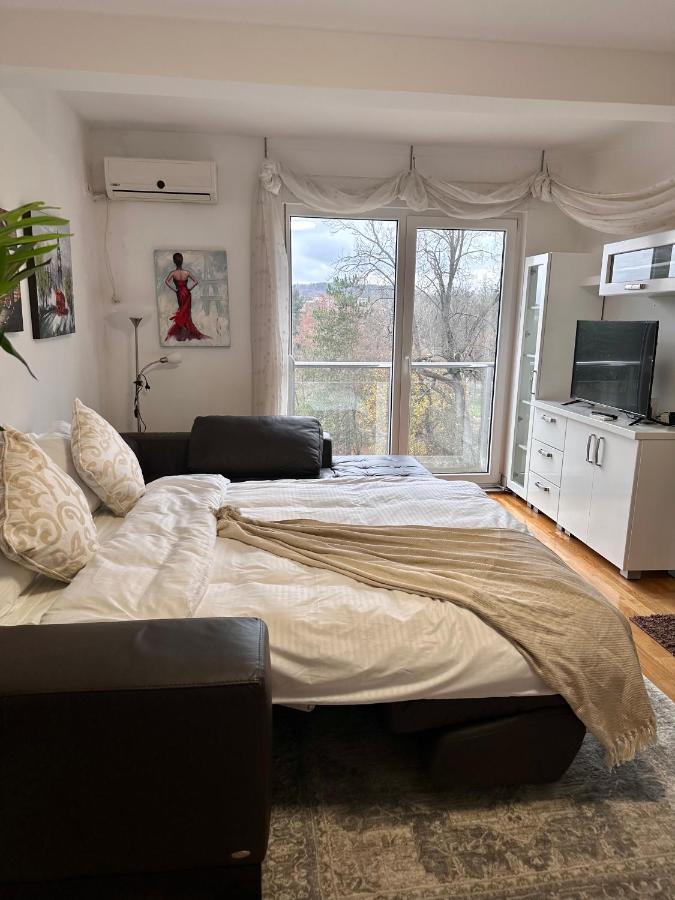 Apartman Floresta - In Front Of Japanese Garden, Enchanting Nature View, Spotless And Cozy Vrnjačka Banja エクステリア 写真