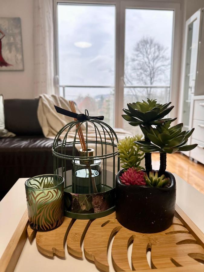Apartman Floresta - In Front Of Japanese Garden, Enchanting Nature View, Spotless And Cozy Vrnjačka Banja エクステリア 写真
